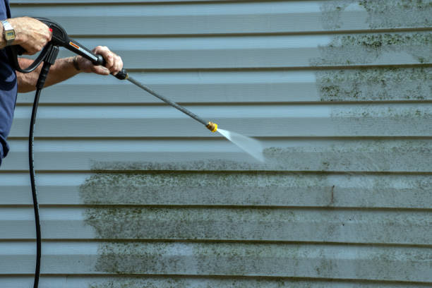 Trusted Hallettsville, TX Pressure Washing Services Experts